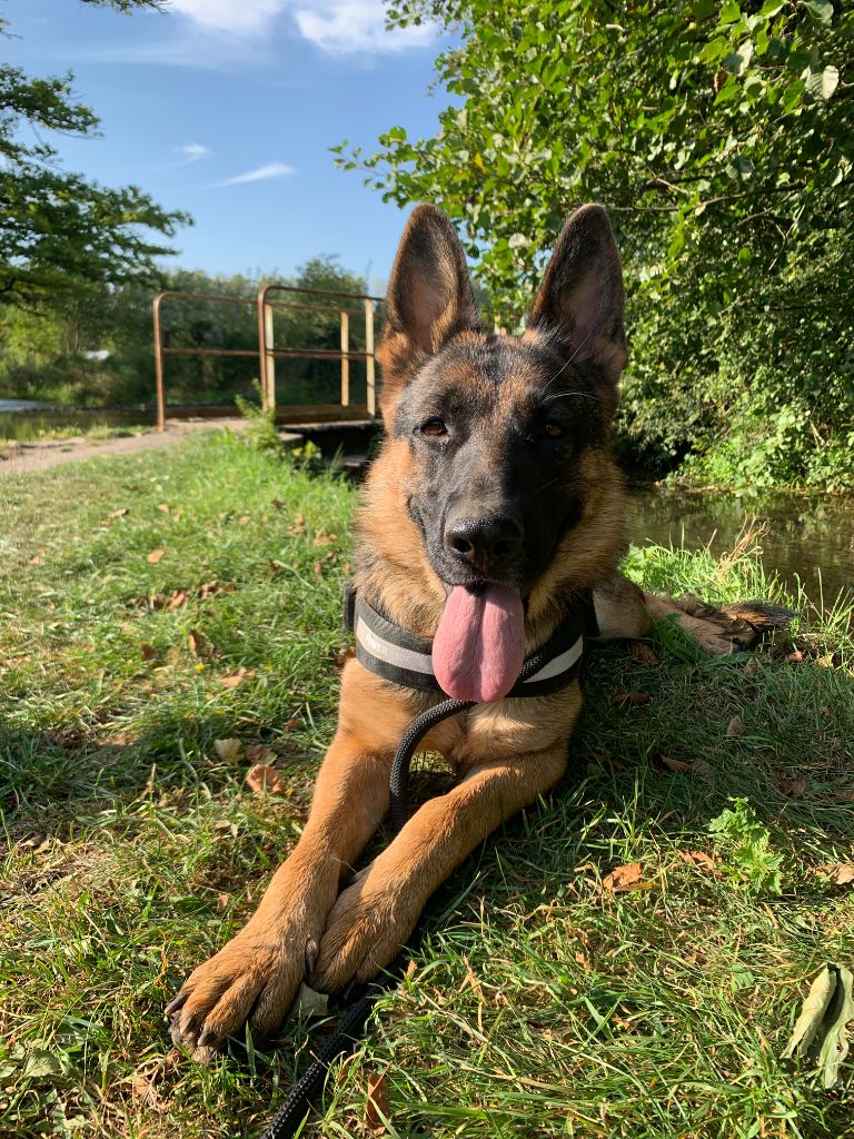 Nanouk Der Wolf Malbrouka